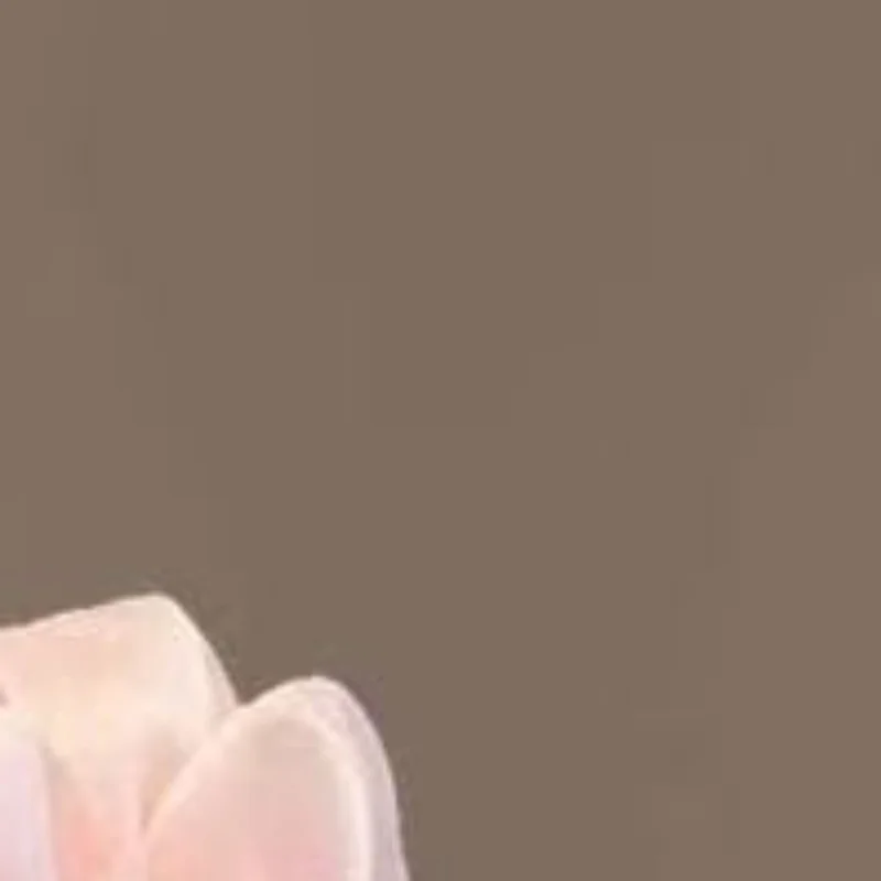 

Printed Bow Hair Rope Elegant Ribbon Ponytail Hair Band For Women Sweet Rubber Band Hair Ring Fashion Headdress Hair Accessories