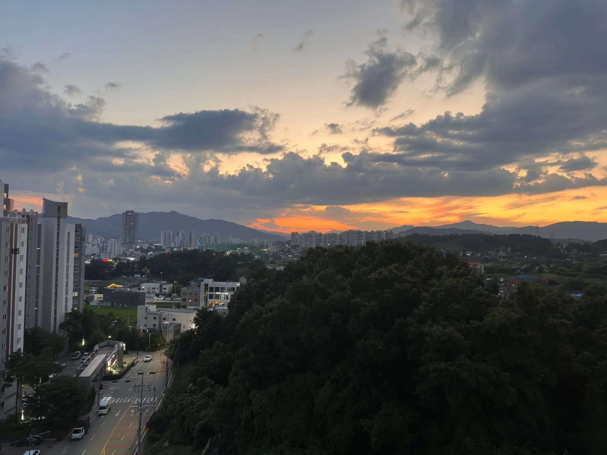 구매후기