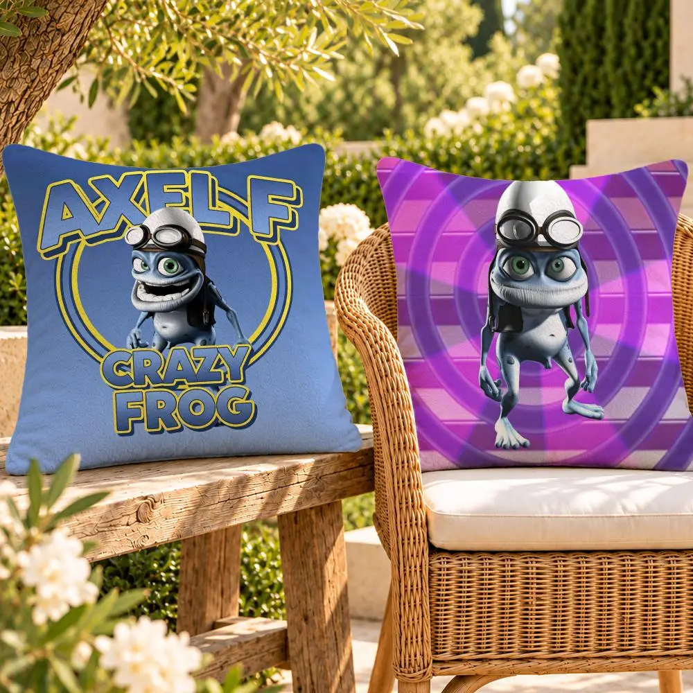 Music Funny Dance Crazy Frog Cushion Cover Soft Plush Throw Pillow Cover Washable Sofa Bed Patio Chair Home Decor