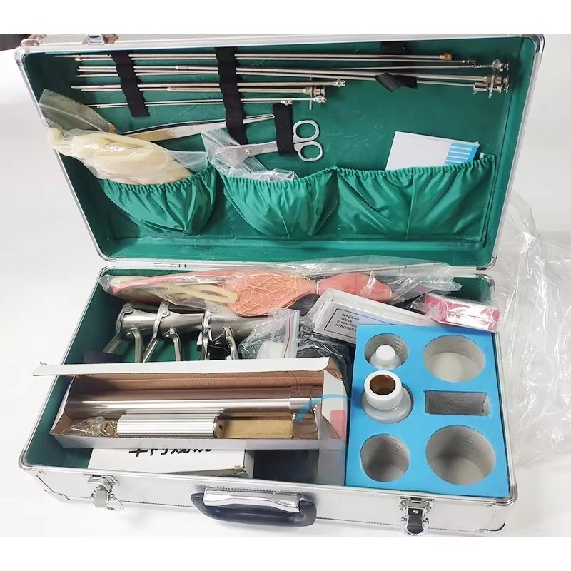 HC-R085 Cattle Veterinary Artificial Insemination Equipment and Tool Kit
