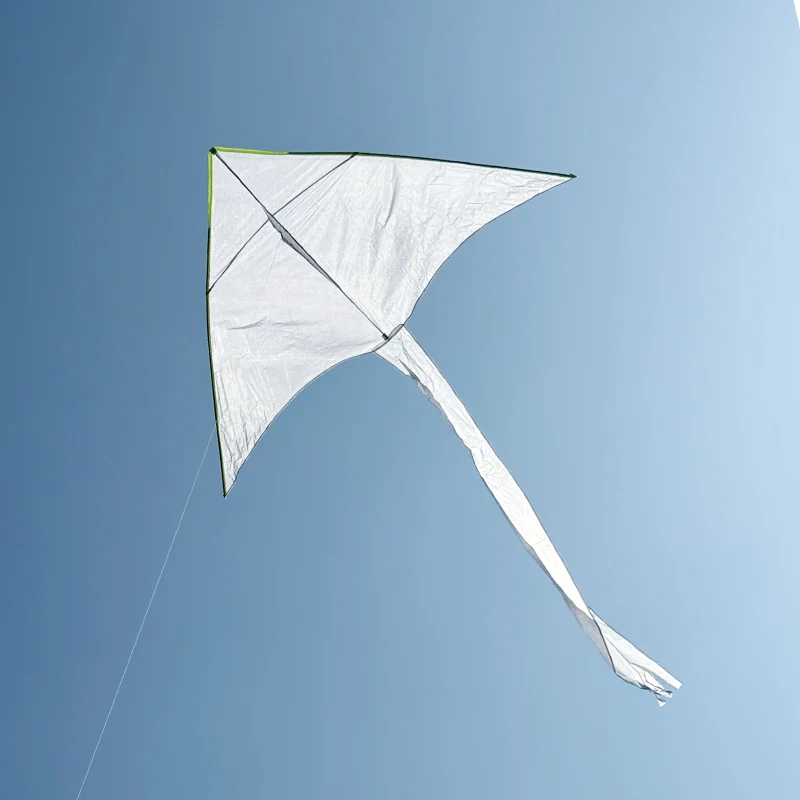 Paradise Bird 2m Blank Kite with 100m Handle Line Can Engage in Artistic Creation Outdoor Fun Gift For Children Painting Kite