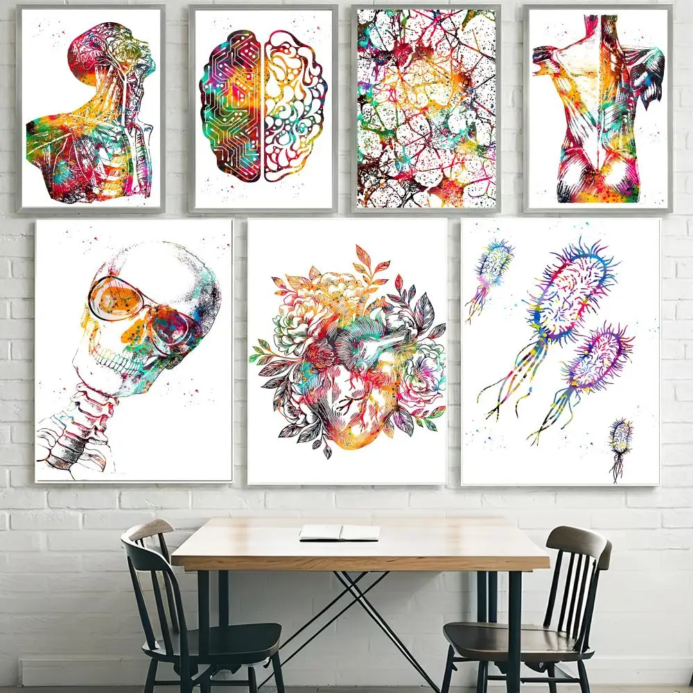 H-Human Anatomy Muscle System ART Poster HD Waterproof Self-
