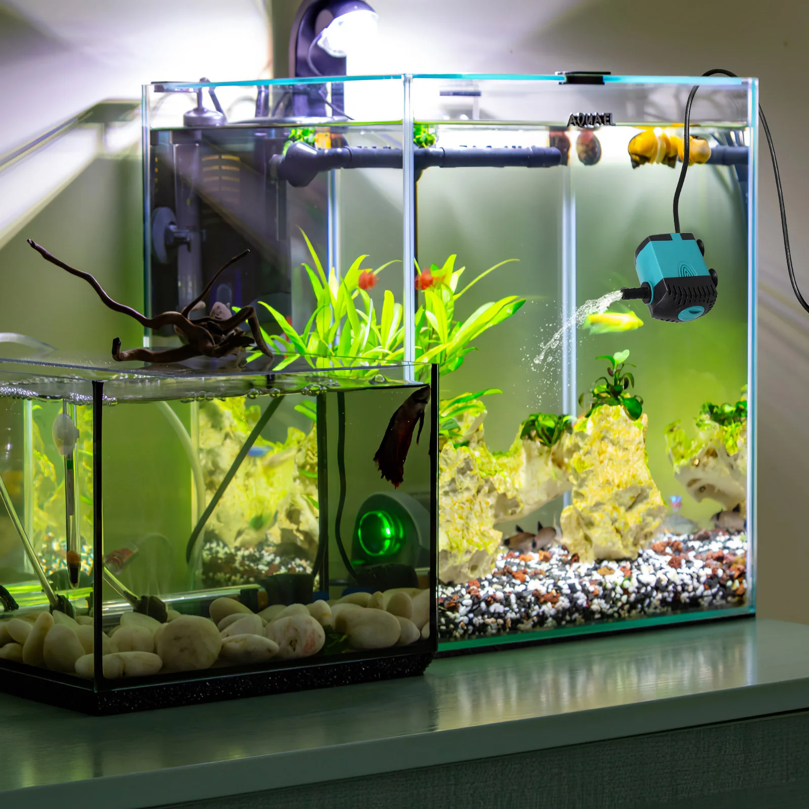 

Submersible Aquarium Water Pump 3W Suction Cup Fish Tank Silent Operation Us Plug Fish Tank Water Pump Aquarium Accessory