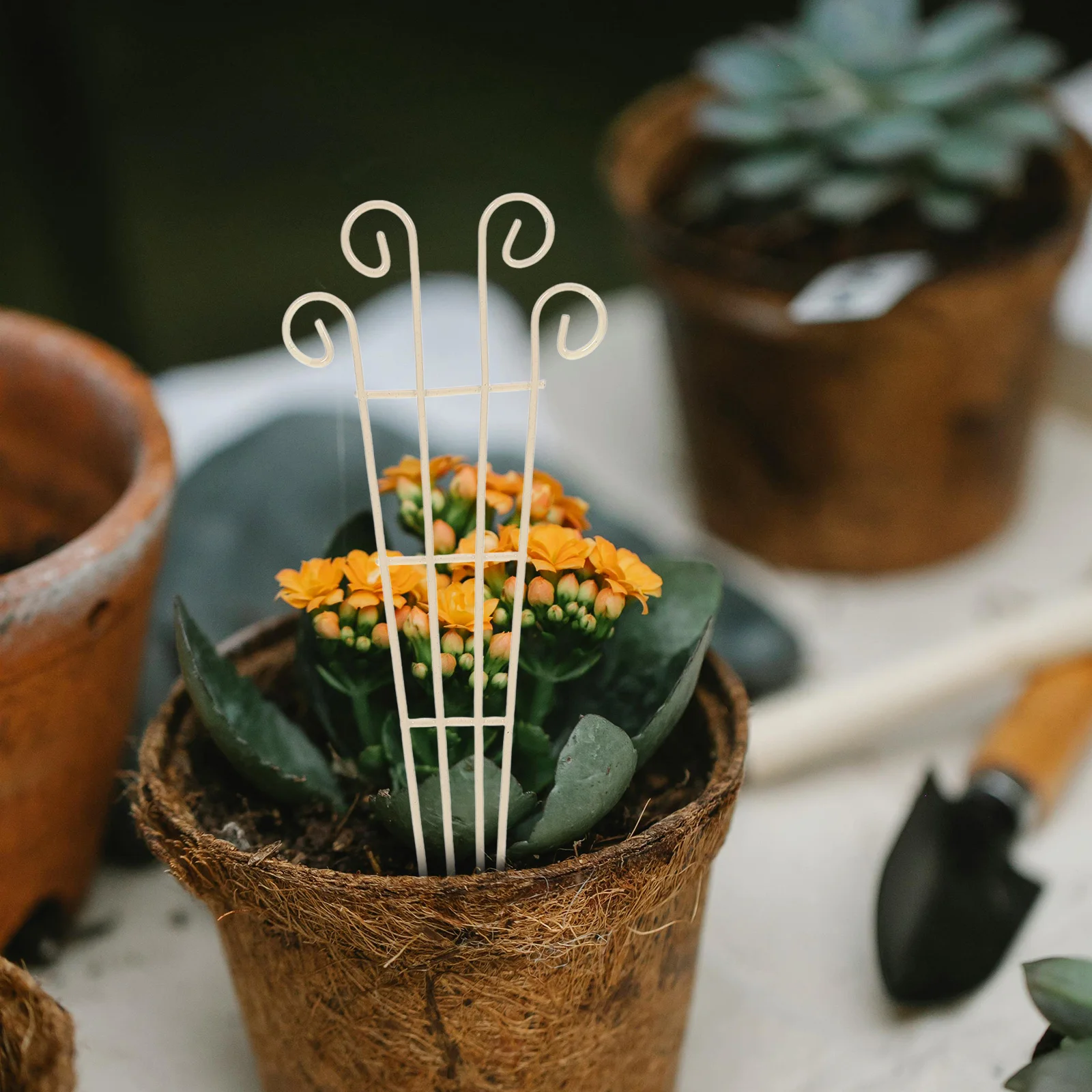 

4pcs Mini For Plants Potted Vines Support Rack Iron Garden Stand Small Metal Climbing Holder Frame Vine Plant Trellis Garden