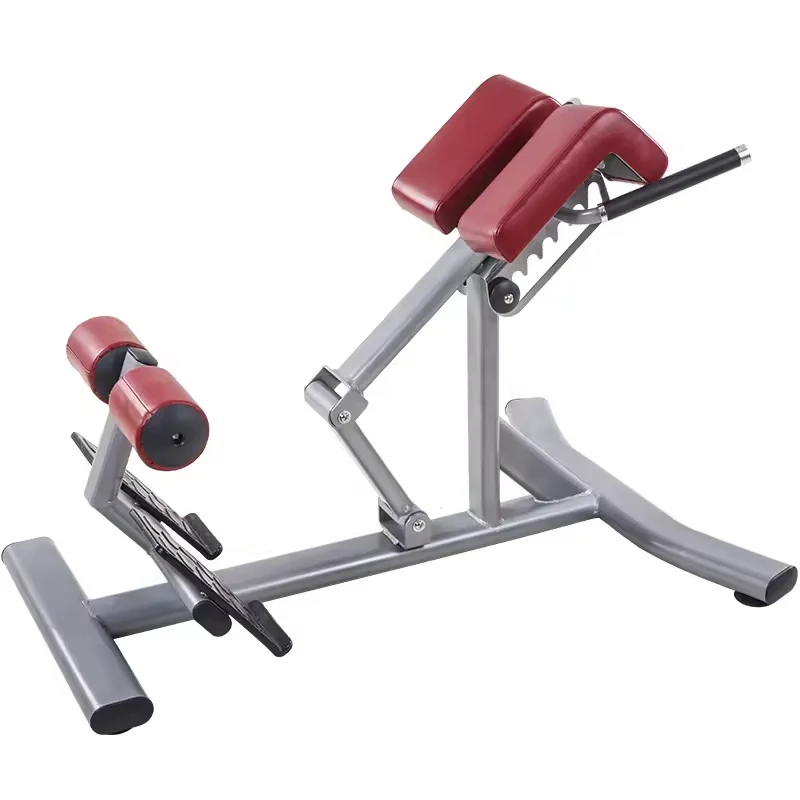 

Home Gym Machine Gym Commercial Fitness Equipment Roman Chair Sports Bench