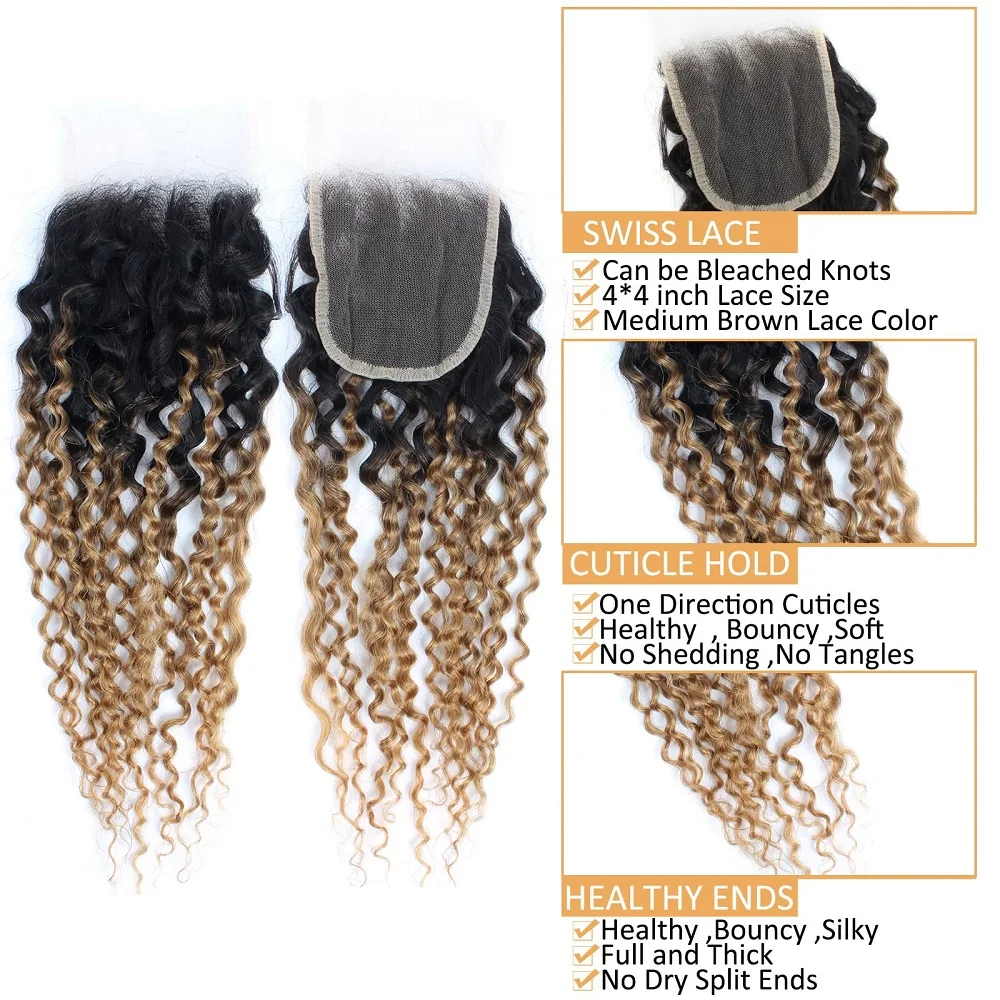Water Wave Bundles with Closure, Honey Blonde Brazilian Human Hair, 1B/27 Curly