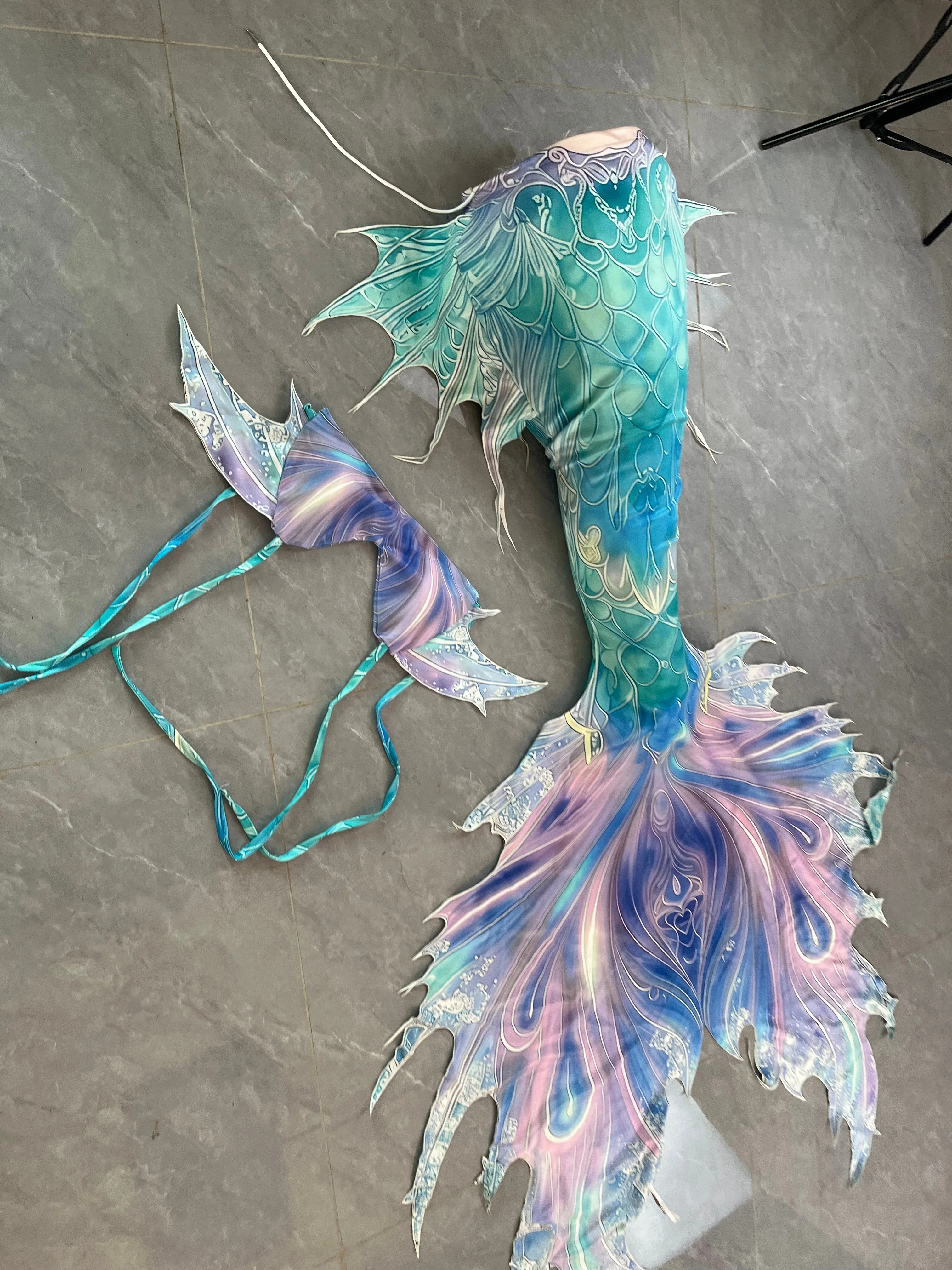 Regenbogen-Meerjungfrauenschwa – Aquarium & Marine Museum Universiti Malaysia Sabah Kota Kinabalu Sabah Reviews Bewertung und Preis