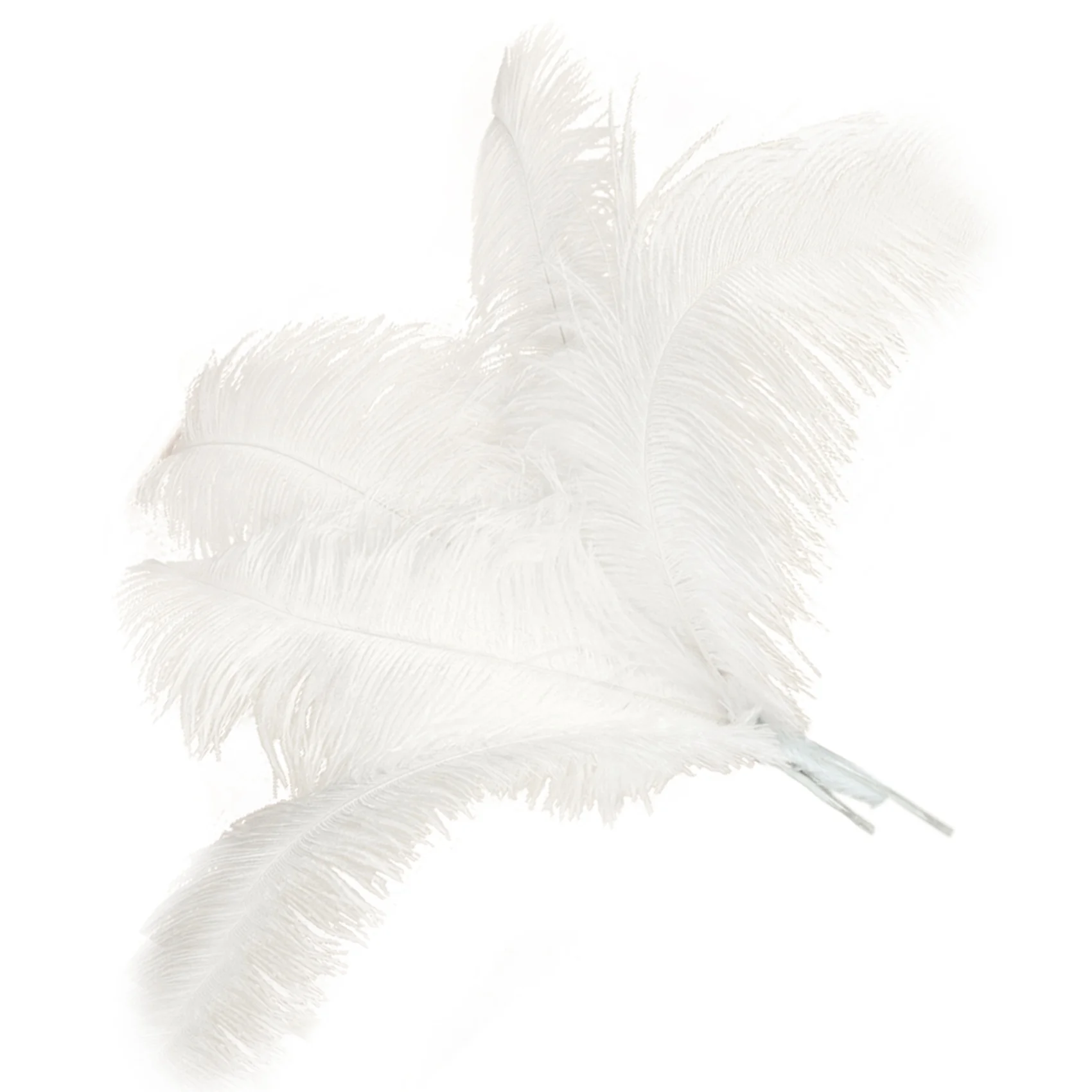 

EYFL-50 Pcs Natural Ostrich Feathers Wedding Party Decoration White 45-50Cm