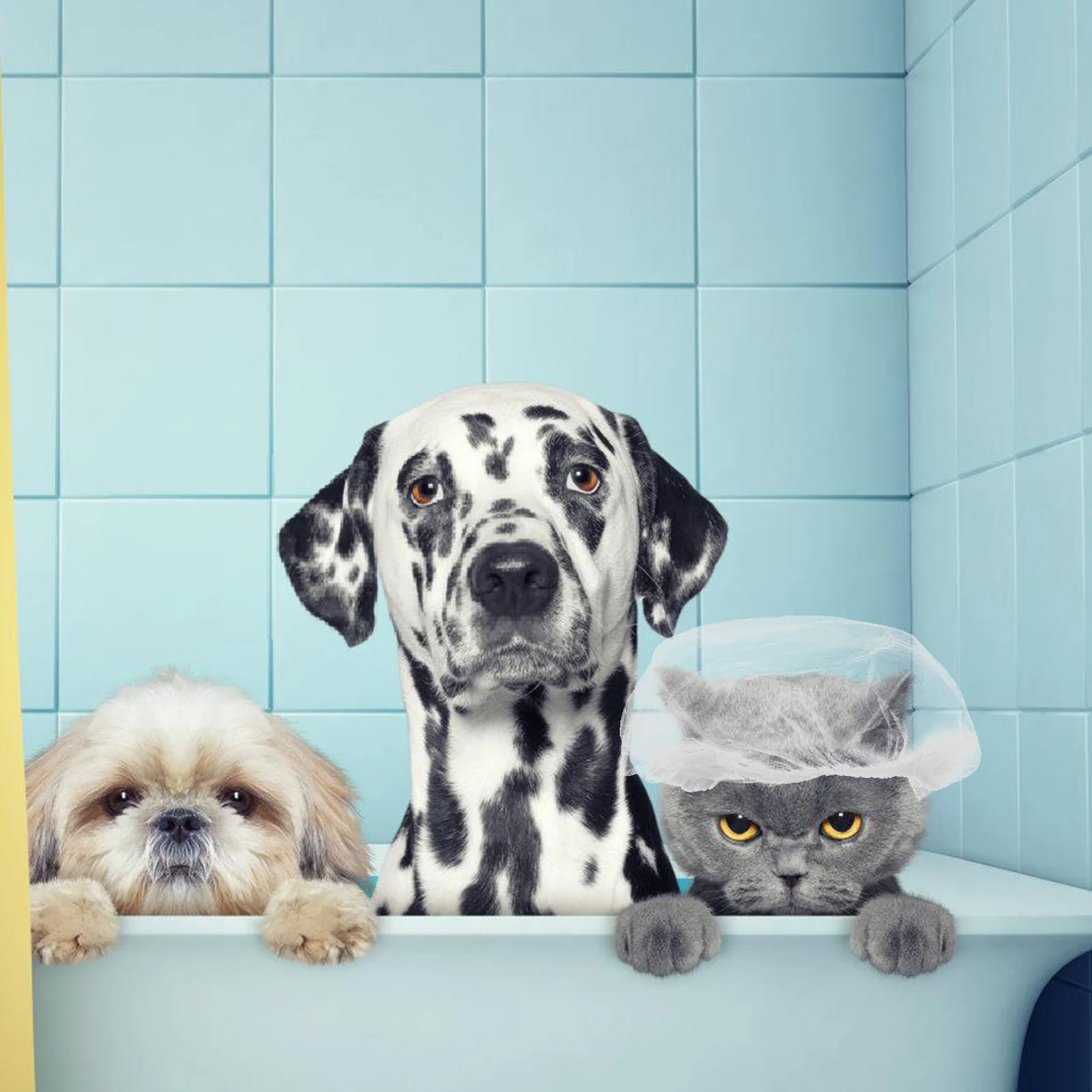 

30Pcs Dog Cat Bath Cap Waterproof Ear Covers Stylish Design Soft Pe Material Reusable Easy Clean Grooming Small Dog Hat