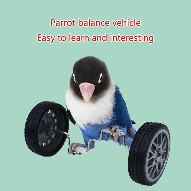 Parrot Training Balancing Bike Toy Interactive Row Roller Bird Cage Toy Cockatiels Training Birds Cage Sports Supplies