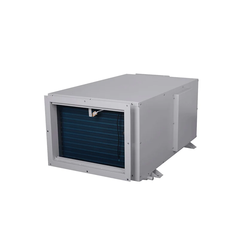 Newest Industrial Electric Portable Dehumidifier Adjustable Humidistat CE Certified Greenhouse Home Office Bedroom