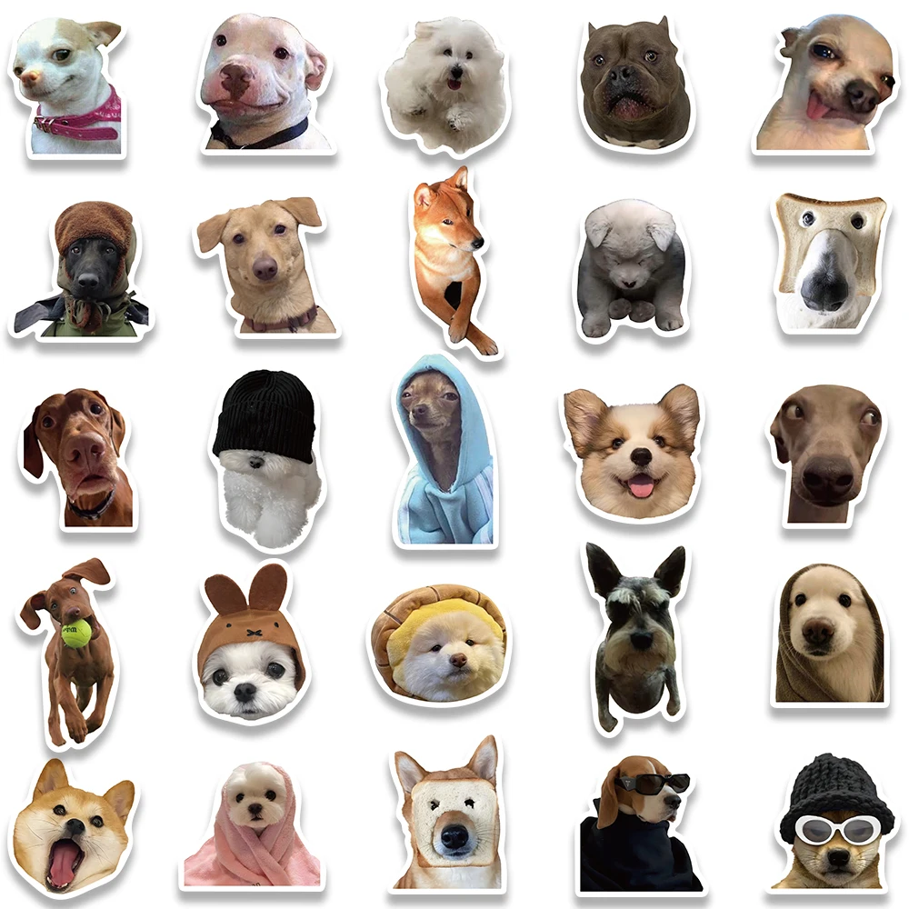 Imagem -05 - Cão Meme Engraçado Adesivos Garrafa de Água Animal de Estimação Cachorro Laptop Bagagem Notebook Skate Decalques de Vinil Impermeáveis 50 Pcs