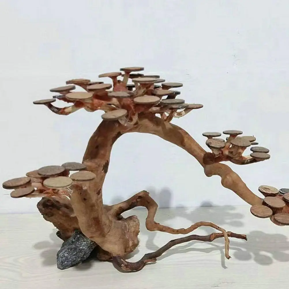 

50pcs Natural Coconut Shell Wood Aquarium Decoration Circular Slice Forest Material Landscape Molds Decor Fish Tank Ornament