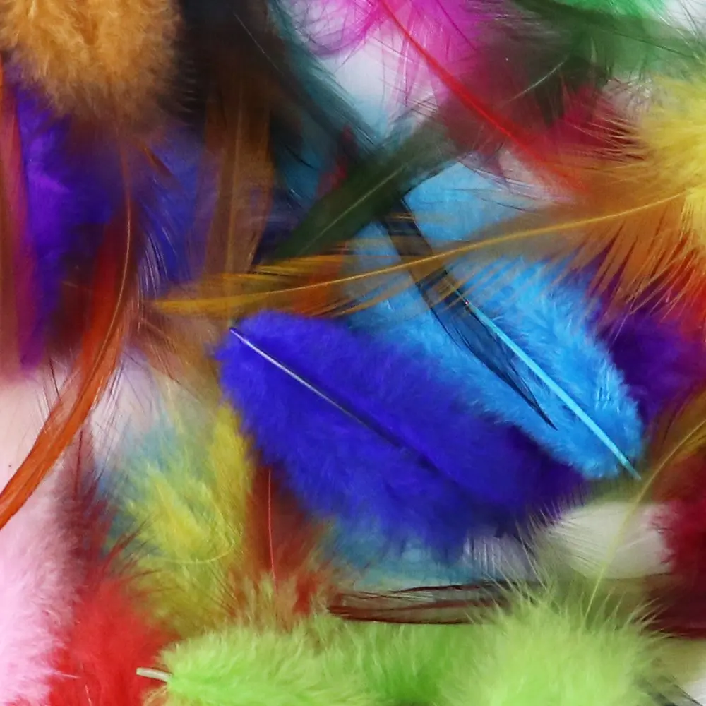 50Pcs Natural Roost… - image