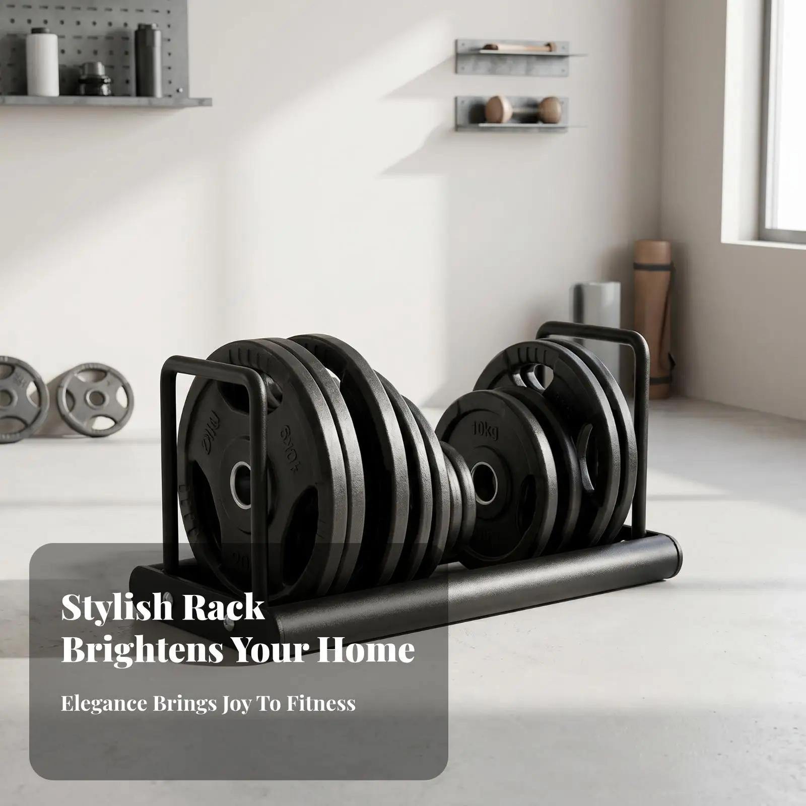 Weight Disc Storage Rack for Barbell Plates Steel Organizer Compact Home Gym Equipment Stand