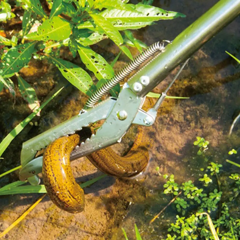 Premium Stainless Steel Eel Tong Crab Clamp Loach Grabber Wide Grip Anti-Slip Scissor Tongs for Picnic Hiking Backyard Barbecue