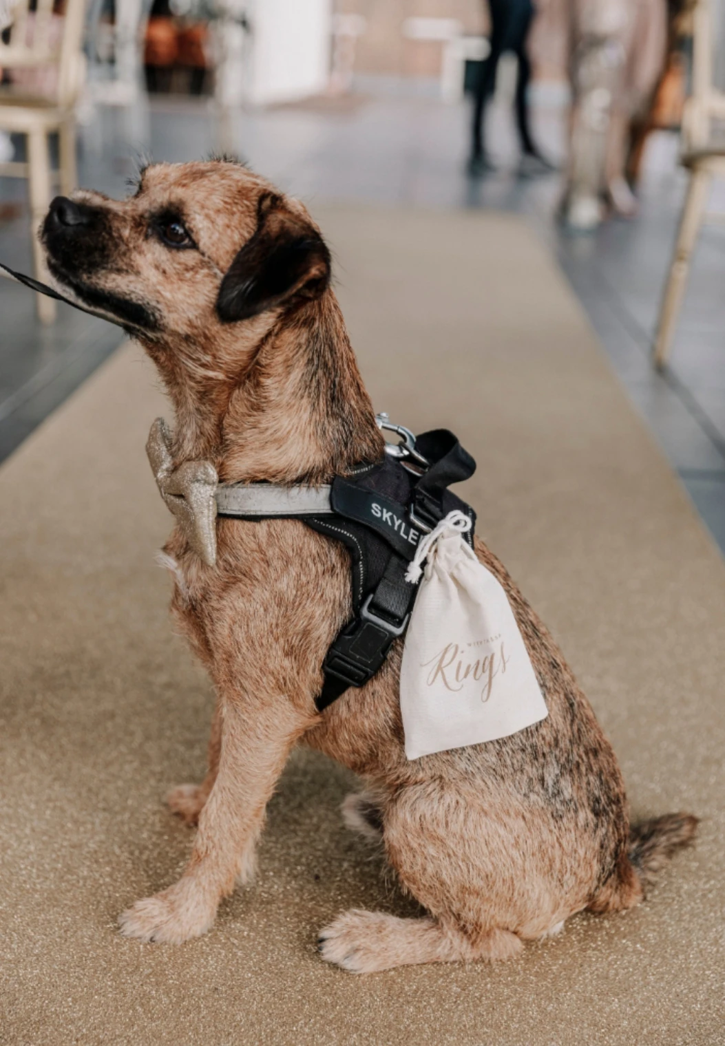 Custom Wedding Ring Bearer Bag, Dog Ring Bearer Bag, Pouch Rustic Burlap Favor Bag Personalized Ring Pillow Alternative