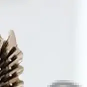 فروة الرأس وفك تشابك الشعر مجعد تدليك فروة الرأس مشط الشعر وسادة هوائية مشط شعيرات طبيعية أدوات تصفيف الشعر أدوات الحلاق #1