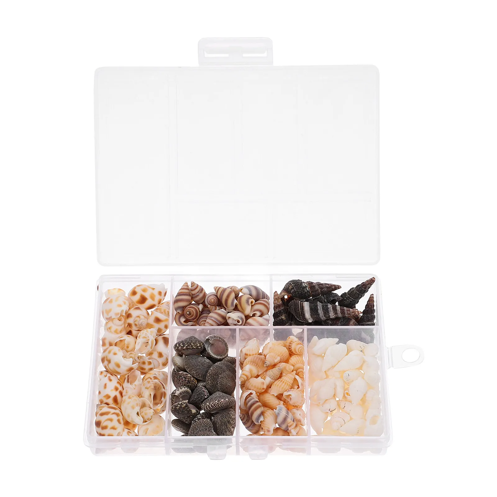 Seashells 100g Beach Theme DIY Crafts Fish Tank Vase Filler Ocean Decor Scallop Conch Shells Beach Party Favors