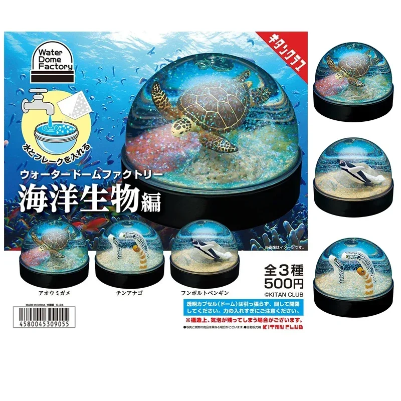 Genuine Gacha Figure Small Scale Model Turtle Litter Snow Crystal Ball Egg Twist Sea Eel Penguin Action Figure Toys