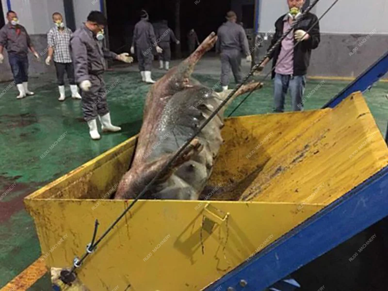 Macchina per il trattamento dei rifiuti di pollame, carne nel sangue e pasto sugli ossa, piume in polvere, attrezzature per il rendering di piante per rifiuti della casa di fianza