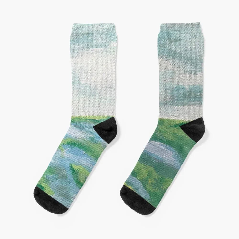 

Lowcountry Marsh Landscape Painting Socks bright garter essential Socks Female Men's