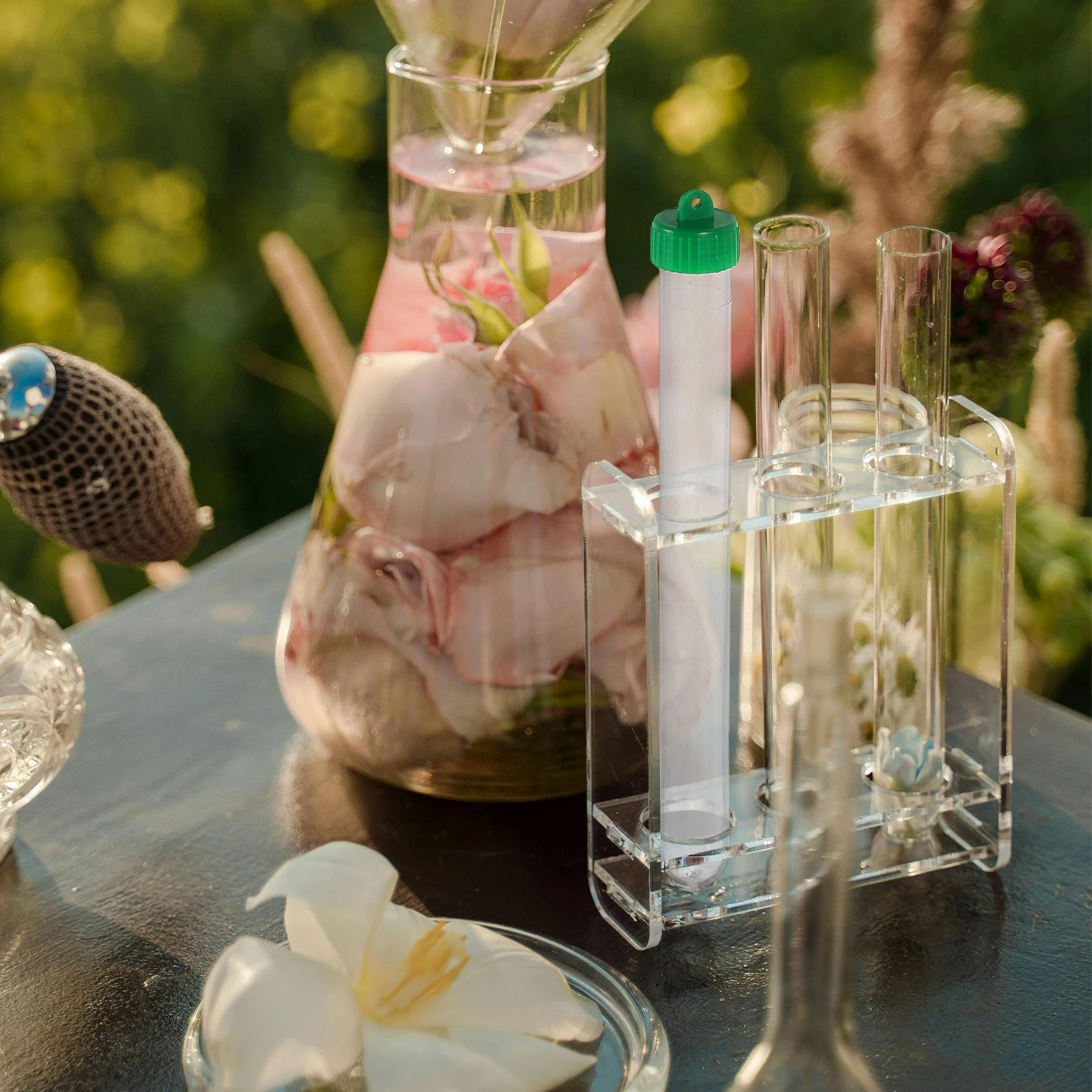 

10 Pcs Plastic Test Tubes Clear Small Vials Leak Proof Screw Cap Sample Storage Bottles Transparent for Liquid