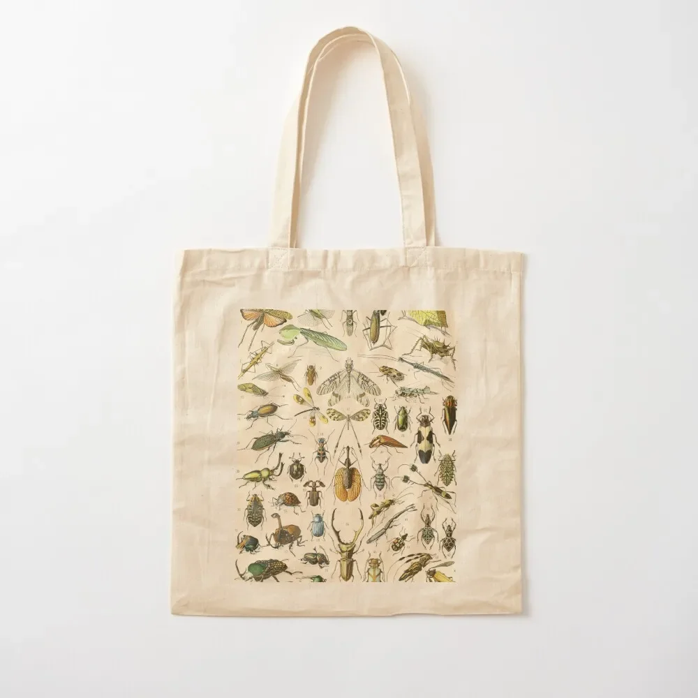 Insects Vintage Bug Chart Tote Bag Shopper handbag tote bag Beach bag great