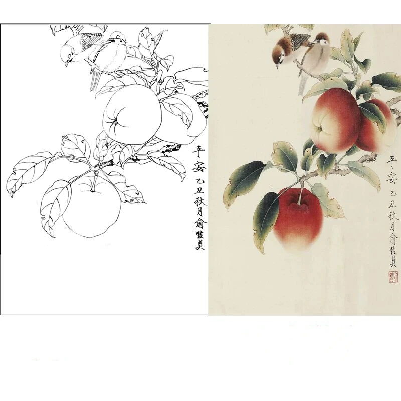 

Traditional Chinese Painting Paper Line Draft Meticulous Brushwork Flowers Birds Fruits Line Drawing Draft Colored Xuan Paper