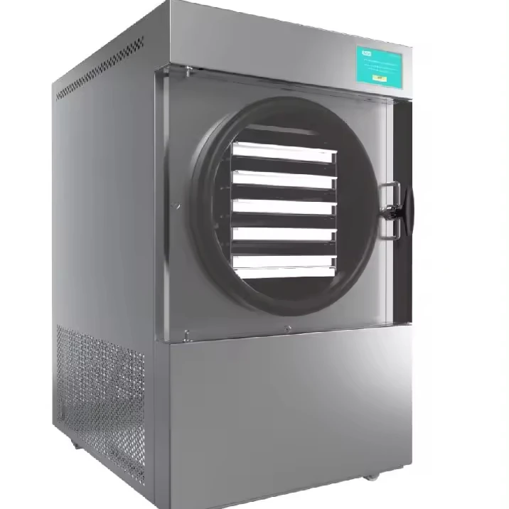 Food Dehydrator Machine High Efficient Freeze Vacuum Drying Technology Freeze Dryer For Restaurant Home