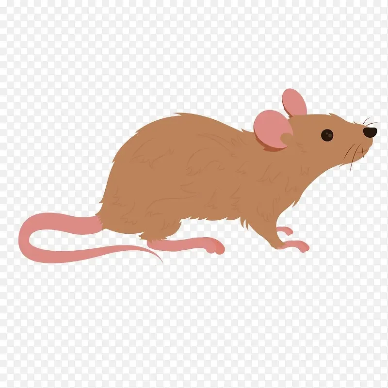 

For Hyper Go 16207 16208 16209 16210 H16 M162 Metal Body Chassis 1/16 RC Car Upgrade Parts Accessories