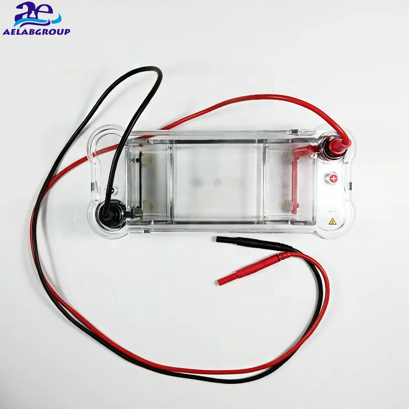 2026 ljc Hirizontal Capillary Haemoglobin Digital Automatic Mini Gel Electrophoresis Tank Machine Detectable DNA Enzymes One Box