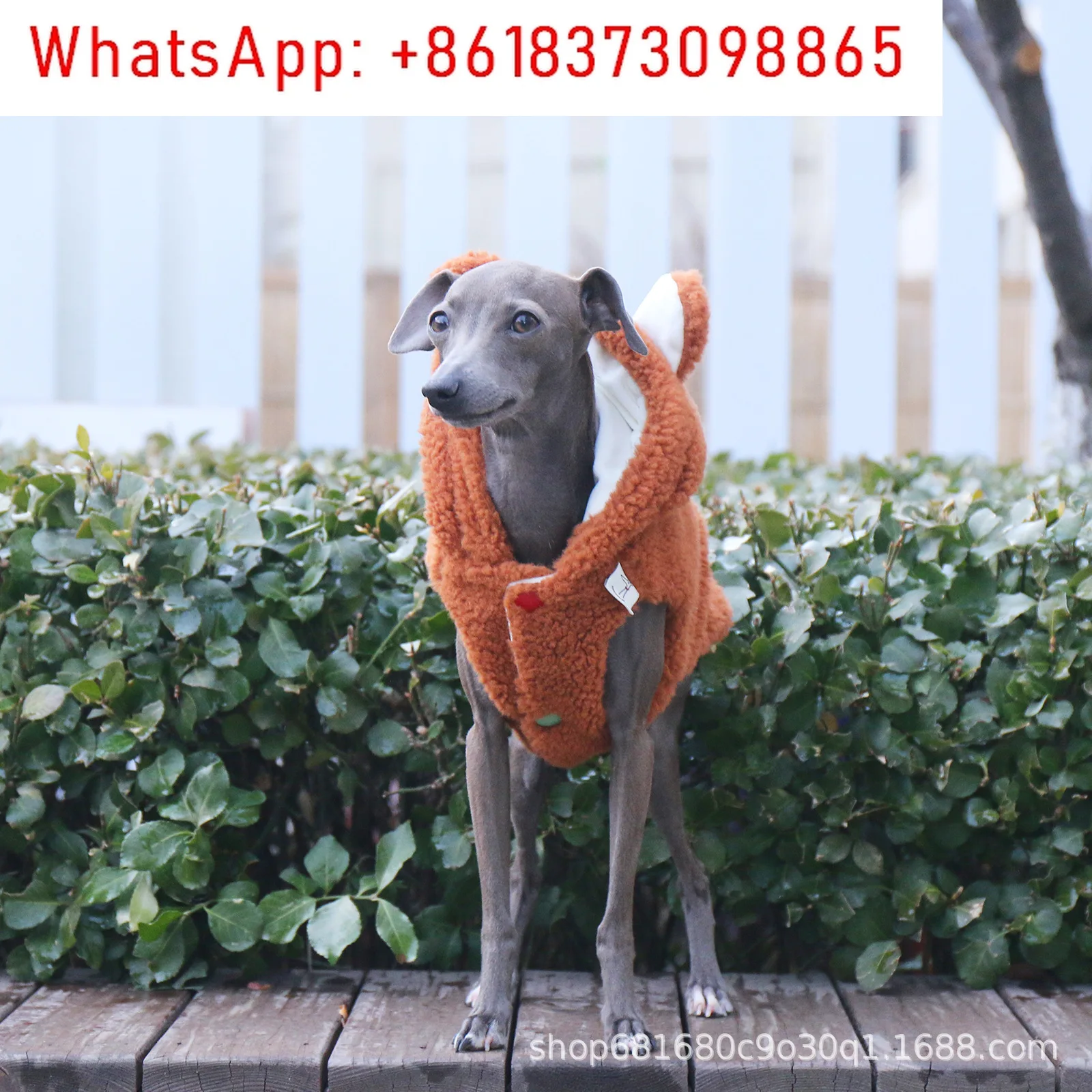 Warm Autumn Winter Vest for Dogs Hooded Lamb Wool Coat for Whippets and Italian Greyhounds