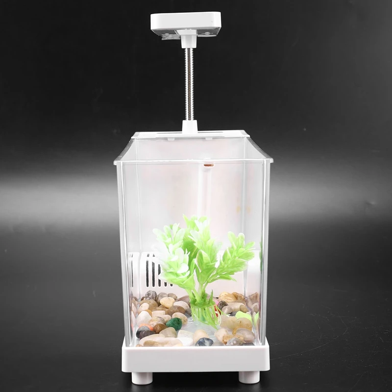 Mini Aquarium Fish Tank Usb Aquarium With Led Lamp Light Lcd Display Screen And Clock Fish Tank Aquarium Fish Tanks