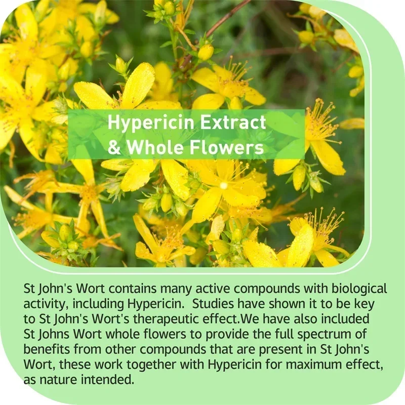 St. John's Wort Capsules - Relieve Anxiety and Fatigue, Improve Sleep Quality, Promote Skin Health, and Enhance Immunity - Image 3