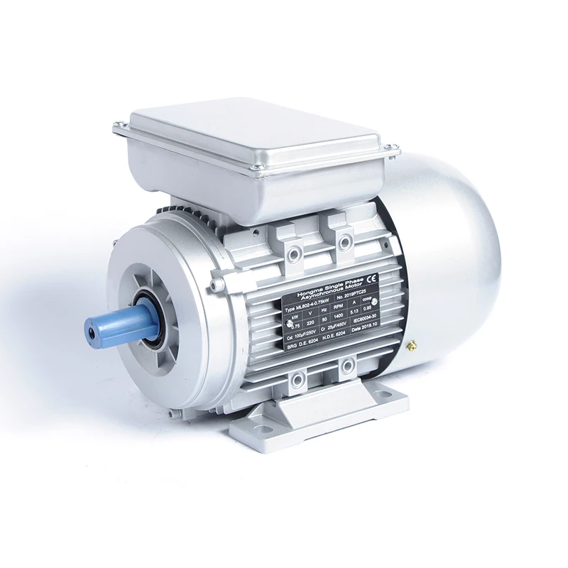 Single-Phase 50Hz AC Volta Motor 220V AC Motors Product Type