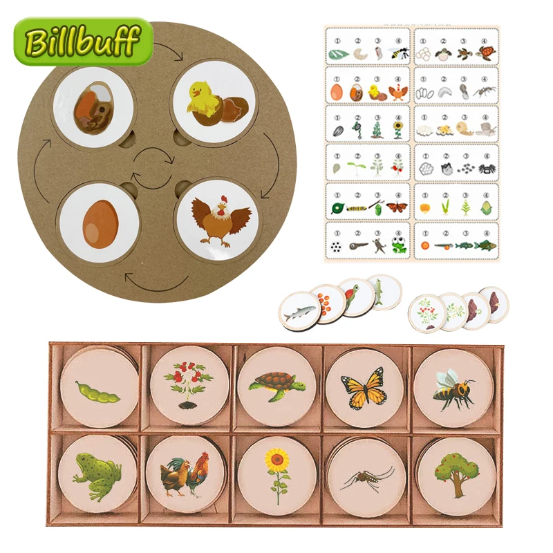 Hot Animal Life Cycle Board Montessori Sets Tray Growth Figures Life Cycle Sorting Teaching Aids Education Toy for Children Gift