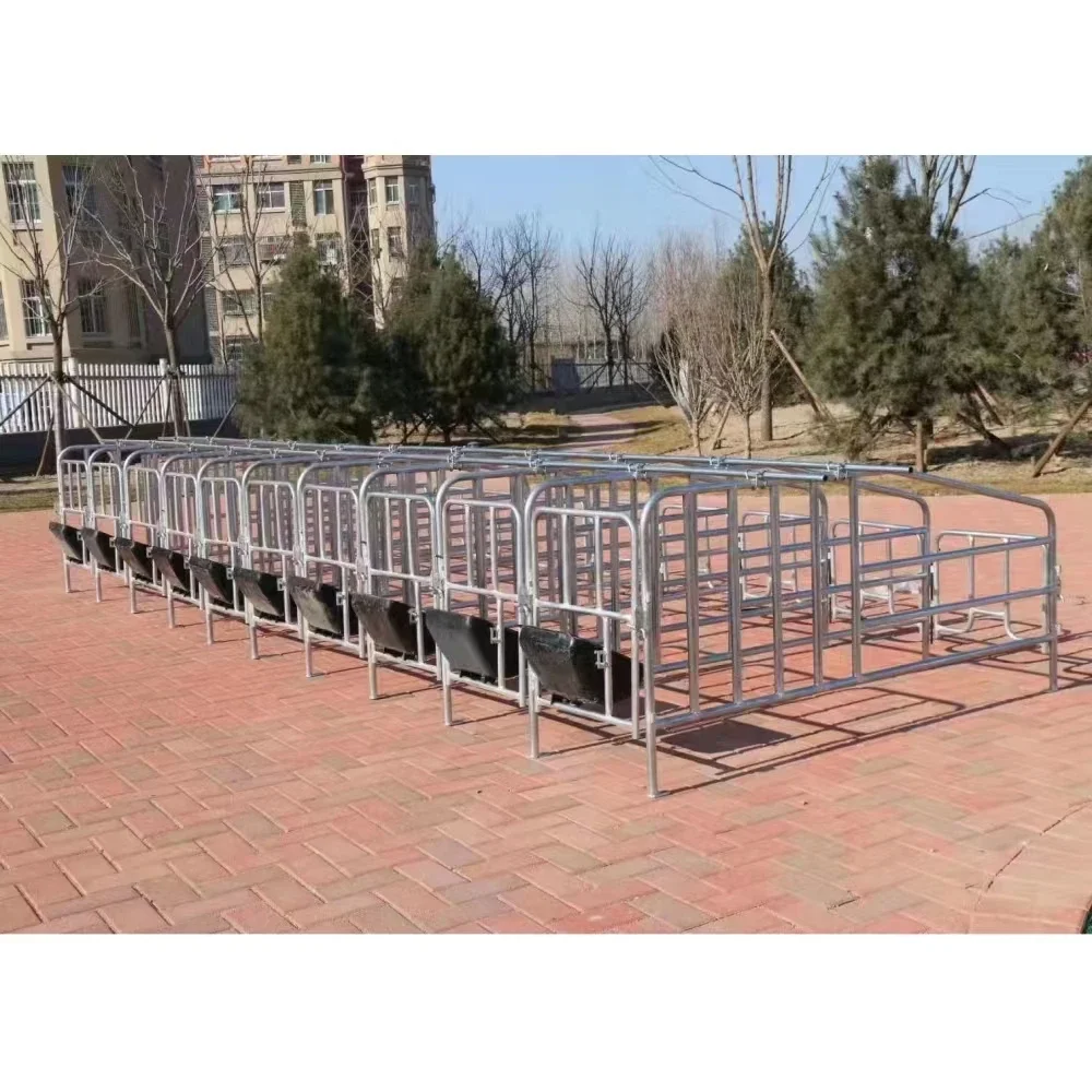 pig farm equipment cages gestation crates pen for pigs