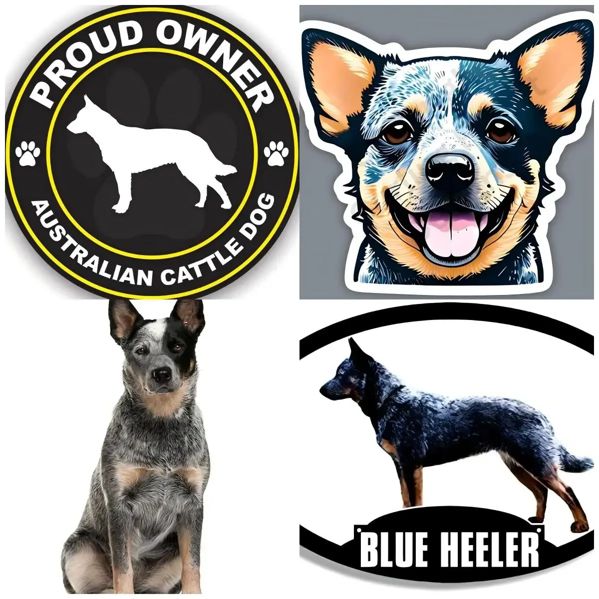 

Blue Heeler Dog Danger Farting Australian Cow Stickers Bumper Guitar Window Engine Cover Decorative