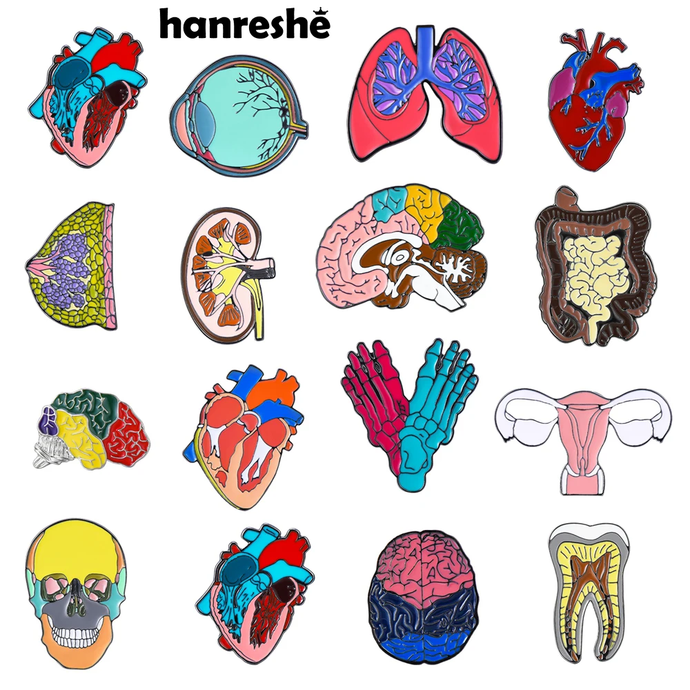 Hanreshe Classic Enamel Organ Brooch Pin Medical Anatomy Kidney Brain Heart Skull Badge Medicine Jewelry for Doctor Nurse