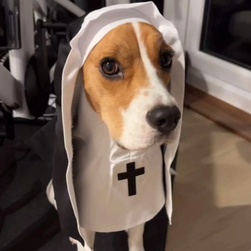 Ropa de monja para perros, vestido cruzado para perros y gatos, divertido COS Beagle, Bichon Frise, accesorios de fotografía de Halloween para mascotas, disfraces divertidos para gatitos