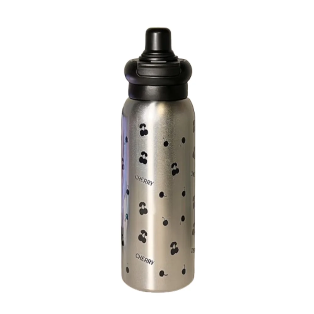 

Portable 650ml Stainless Steel Thermal Flask BPA-Free High-Capacity Insulated Cup Dual Spout with Straw Sports Water Cup Gifts