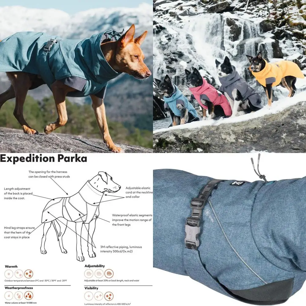 

Winter Berry Dog Parka, 12 Inch