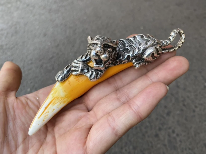 Stationery and miscellaneous items: resin tiger teeth handle, bear wolf teeth  men's pendant, false teeth