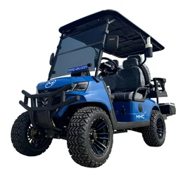 Wholesale Brand New 4 Wheel Golf Buggy Utility Vehicle 2 4 6 8 Seater Gasoline/Electric Club Car Golf Carts