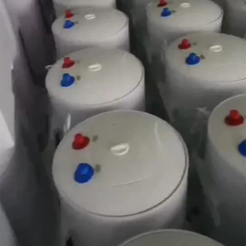 Scaldabagno elettrico a stoccaggio verticale 50L Temperatura del bagno domestico Visibile Scaldabagno domestico Grandi elettrodomestici