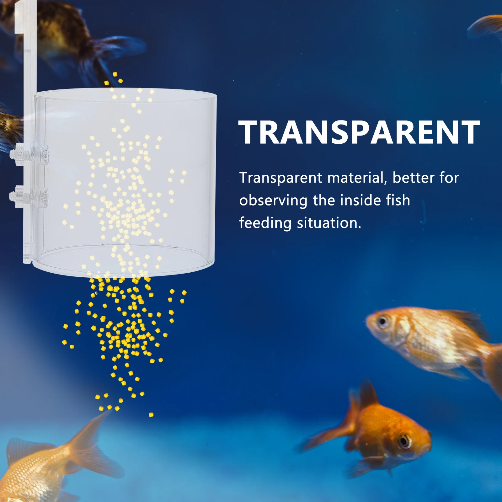 

Acrylic Design Freshwater Tank Healthy Growth Cup Fish Tank Feeding Tool Feeding Tool Pet Fish Feeder Supplies