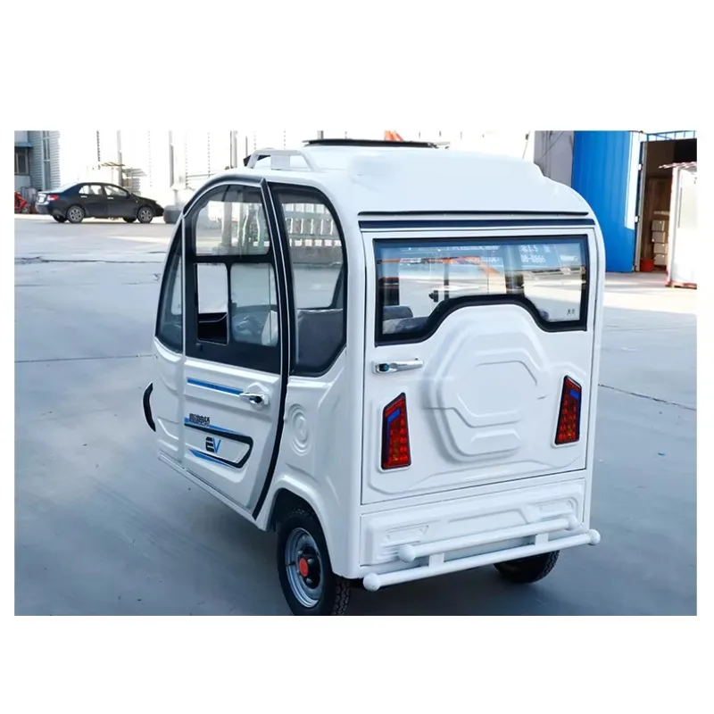 2022 Hot Sale New Cheap Fully Enclosed Convertible Large Space Adult Electric Tricycles