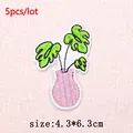 PE17041CT