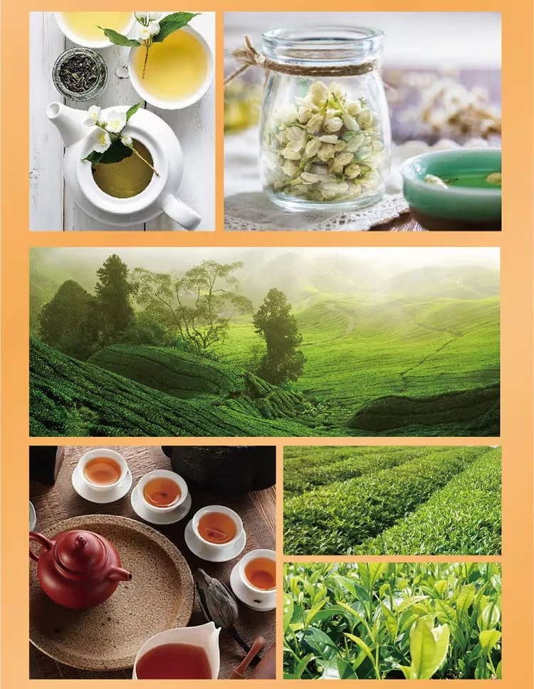 ماستر كونج، شاي عسل الياسمين، عبوة من 5، 500 مل/زجاجة